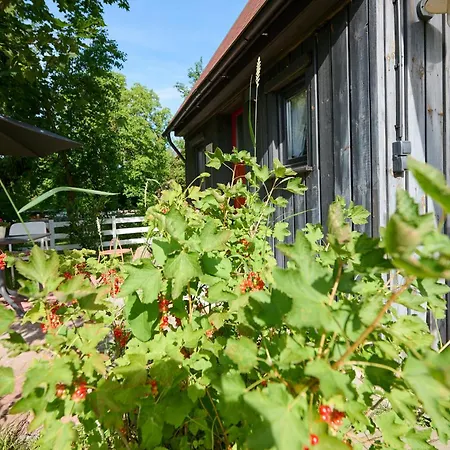 Дом отдыха Tiny House